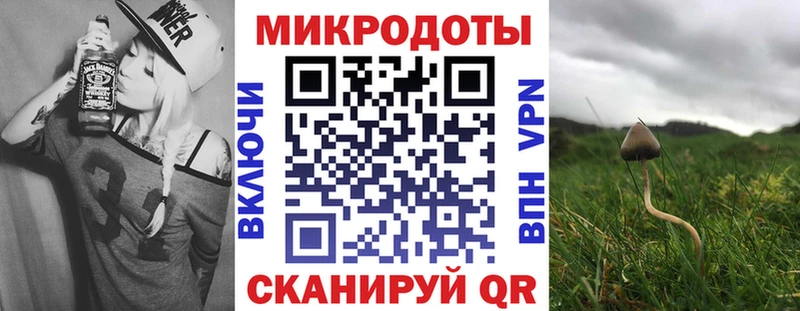Галлюциногенные грибы Psilocybe  Яблоновский 