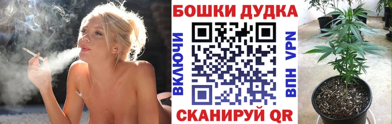 наркотики  Яблоновский  Каннабис планчик 